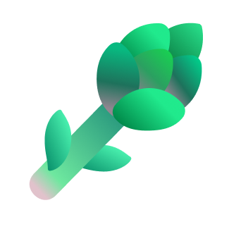 퍼플(보라) 아스파라거스