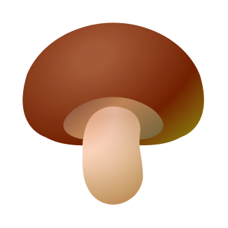 표고버섯(일반)