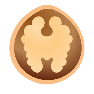 호두나무(기타)