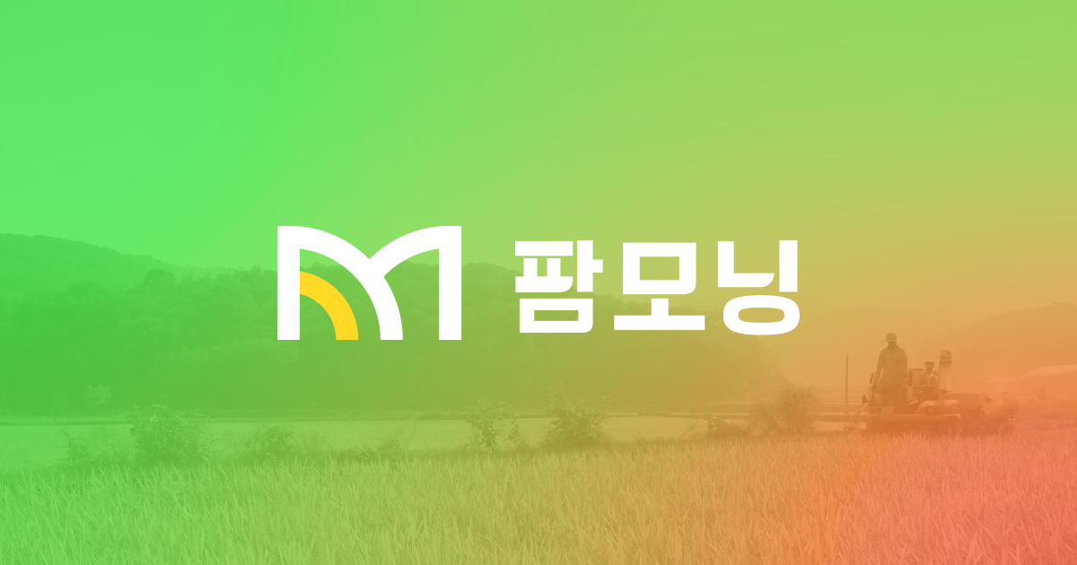 링크 미리보기